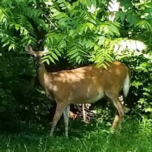 Meet your Posher, Marc